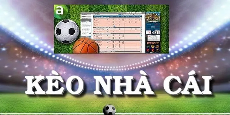 Chia sẻ  kinh nghiệm chơi cược hiệu quả từ kênh kèo nhà cái Net88