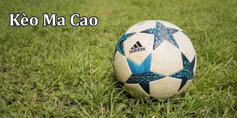 Cẩm nang về kèo Ma cao tại Net88 cho bet thủ