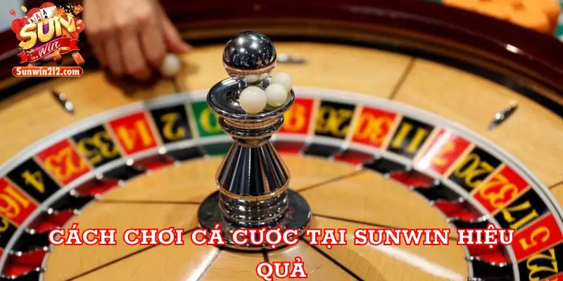 Cách chơi cá cược tại Sunwin hiệu quả